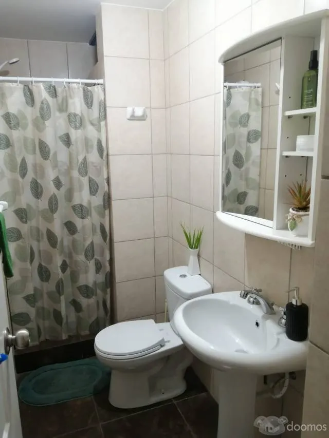 Jiron 10, San Borja (cerca Pentagonito, Jockey Plaza, Derby y Panam. Sur) — foto 4