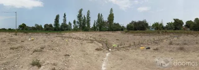 Terreno 1000m3 En Independencia, Pisco Ica A 15 Minutos Del Centro - 4