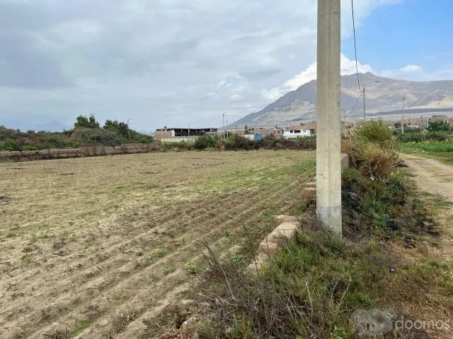 VENDO TERRENO UBICADO EN MOCHE,TRUJILLO, ZONA RURAL TAMBO GRANDE Y MOCHE - 2