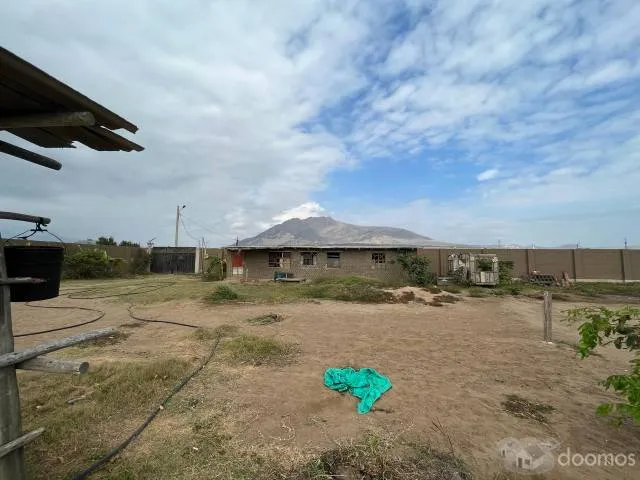 VENDO TERRENO UBICADO EN MOCHE,TRUJILLO, ZONA RURAL TAMBO GRANDE Y MOCHE - 3