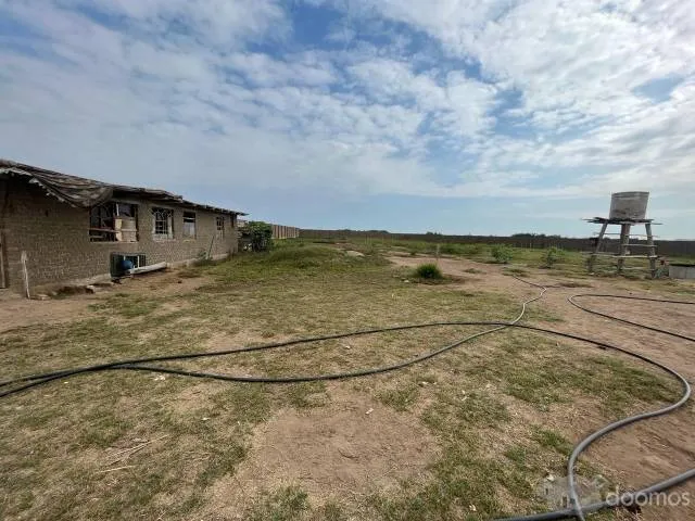 VENDO TERRENO UBICADO EN MOCHE,TRUJILLO, ZONA RURAL TAMBO GRANDE Y MOCHE - 4