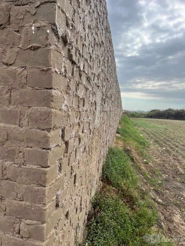 VENDO TERRENO UBICADO EN MOCHE,TRUJILLO, ZONA RURAL TAMBO GRANDE Y MOCHE - 5