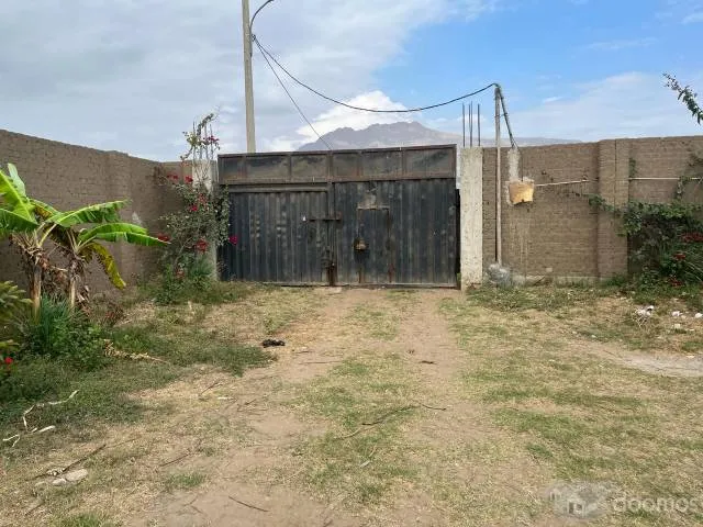 VENDO TERRENO UBICADO EN MOCHE,TRUJILLO, ZONA RURAL TAMBO GRANDE Y MOCHE - 7