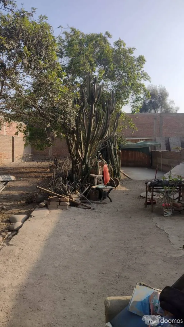 ¡OPORTUNIDAD DE INVERSIÓN! TERRENO EN AVENIDA PRINCIPAL DE ALTO TRÁNSITO - IDEAL PARA NEGOCIOS - 1