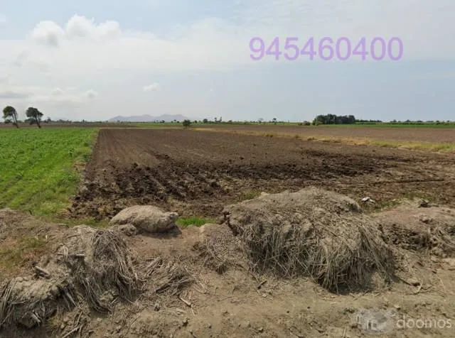 Terreno Agricola VIRU