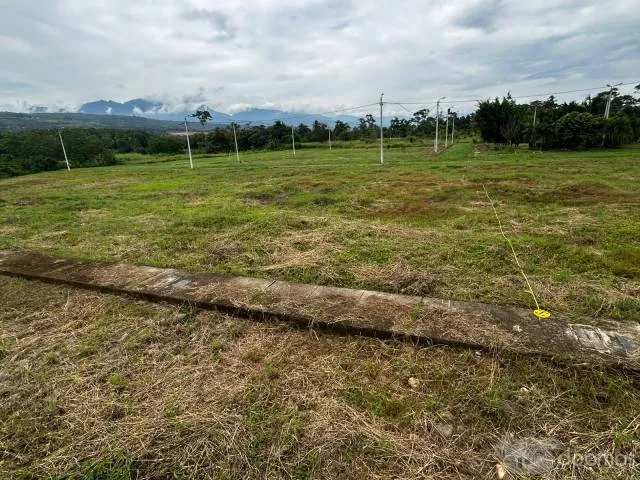 SE VENDEN DOS LOTES URBANOS DETRAS DE LA UCV DE CACATACHI - 4