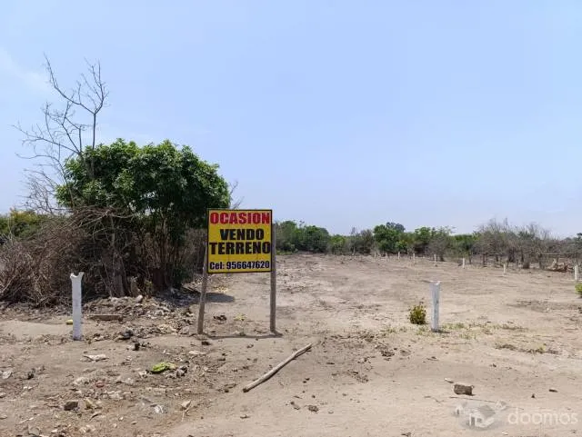 VENTA DE LOTES DESDE 200 M2 - 4