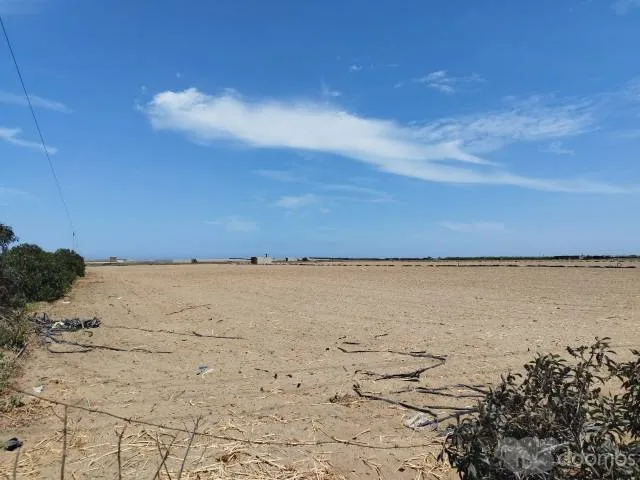 Lotes en Venta en Puémape – Cerca a la Playa - 4
