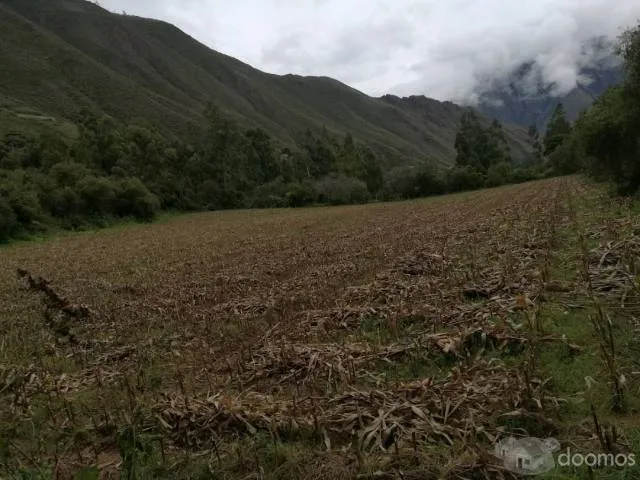 Lotes en Venta en el Valle Sagrado – Inversión con Alta Rentabilidad - 5