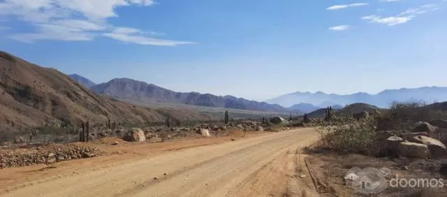 Remato Terreno enorme en Campo Extensión 3809 Ha - 1