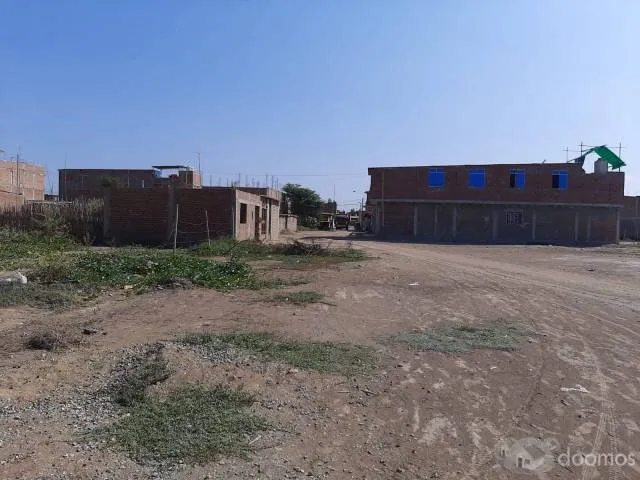 Venta De Terrenos Jayanca - 2