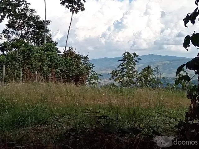 VENDO TERRENO EN LAMAS 1470MTS EN ESQUINA - 3