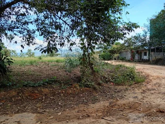 VENDO TERRENO EN LAMAS 1470MTS EN ESQUINA - 5