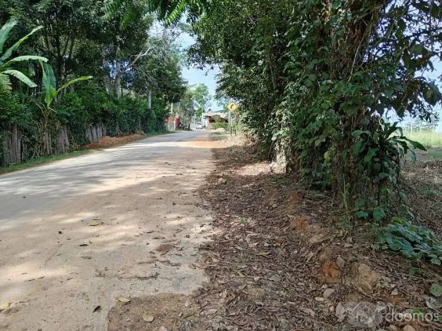 VENDO TERRENO EN LAMAS 1470MTS EN ESQUINA - 7
