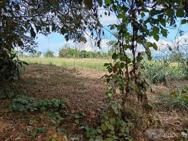 VENDO TERRENO EN LAMAS 1470MTS EN ESQUINA - 8