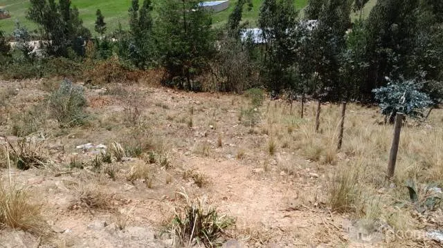 VENTA DE TERRENOS POR OCASIÓN - SANTA BÁRBARA - 2