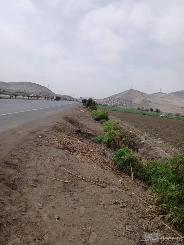 VENDO 4 HECTAREAS EN CHANCAY — foto 3