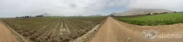 VENDO 4 HECTAREAS EN CHANCAY — foto 4