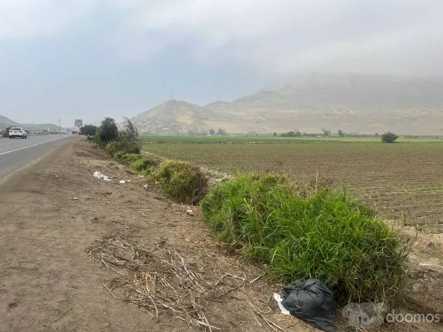 VENDO 4 HECTAREAS EN CHANCAY — foto 5