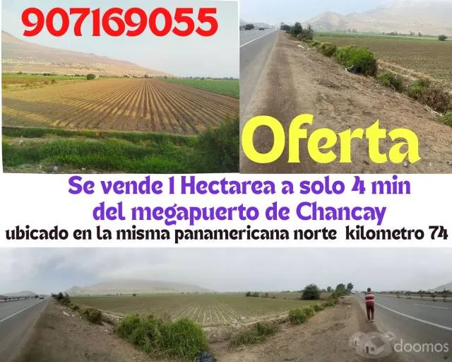 VENDO 4 HECTAREAS EN CHANCAY — foto 6