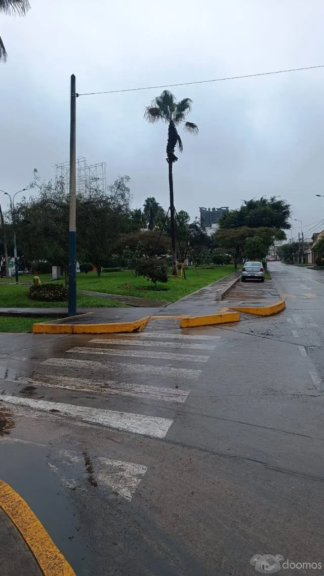 MINIDEPARTAMENTO EN SURCO — foto 8