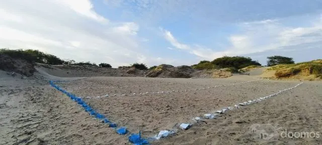 VENTA DE LOTES EN PRYECTO BELLAVISTA - LA CLAKE - REQUE - CHICLAYO - 6