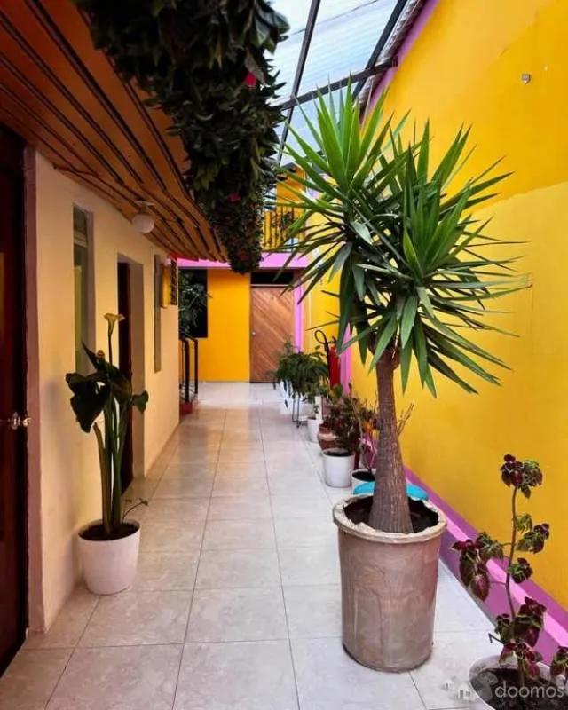 SE VENDE HERMOSO HOSTAL A MEDIA CUADRA DE LA PLAZA DE ARMAS DE CAJAMARCA - 3