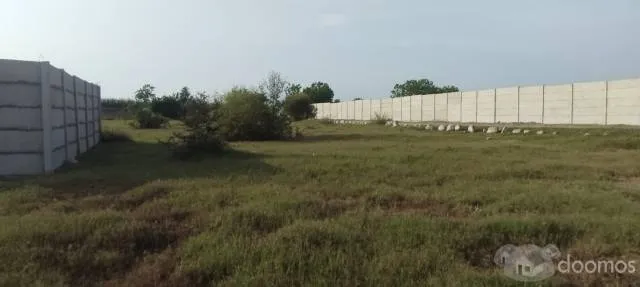 VENDO TERRENO EN FUNDO CASA VERDE — foto 3