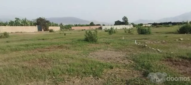 VENDO TERRENO EN FUNDO CASA VERDE — foto 4