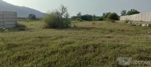 VENDO TERRENO EN FUNDO CASA VERDE — foto 5