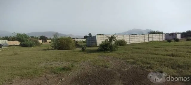 VENDO TERRENO EN FUNDO CASA VERDE — foto 6