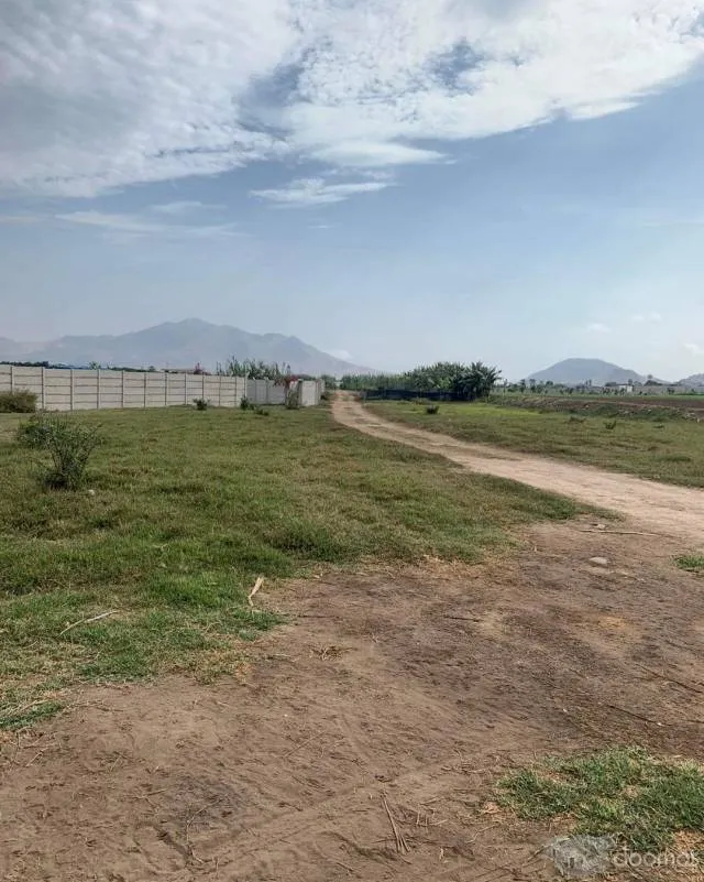 VENDO TERRENO EN FUNDO CASA VERDE — foto 7