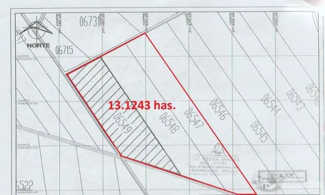 Venta de 3 parcelas agrícolas de 4 has cada una (juntas) total 13.1243 has en Caucato alto – San Clemente - Pisco - 3