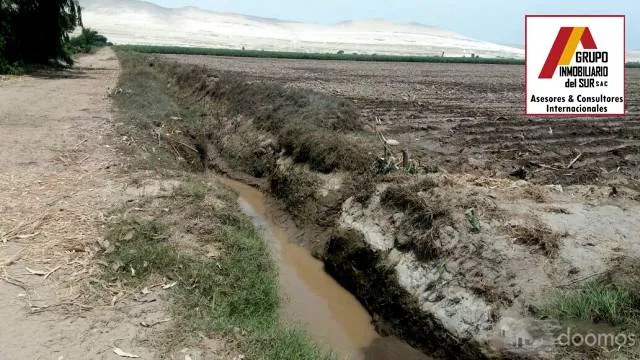 Venta de 3 parcelas agrícolas de 4 has cada una (juntas) total 13.1243 has en Caucato alto – San Clemente - Pisco - 4