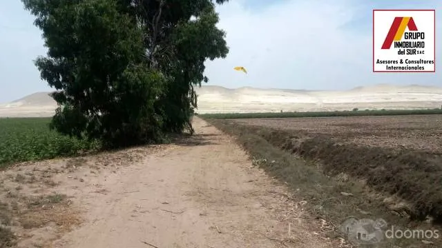Venta de 3 parcelas agrícolas de 4 has cada una (juntas) total 13.1243 has en Caucato alto – San Clemente - Pisco - 5