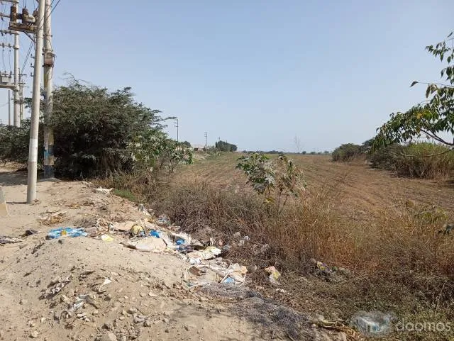VENTA DE 14 HECTÁREAS DE TIERRA AGRICOLA DE  1ra. calidad colindante al Km. 214 de la antigua Panamericana Sur — foto 7