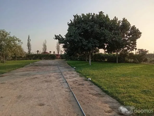 Parcela de 4 hectáreas VENDO   a.  ". $ 25,000 ".  por hectarea — foto 5