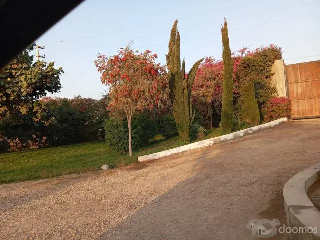 Parcela de 4 hectáreas VENDO   a.  ". $ 25,000 ".  por hectarea — foto 7