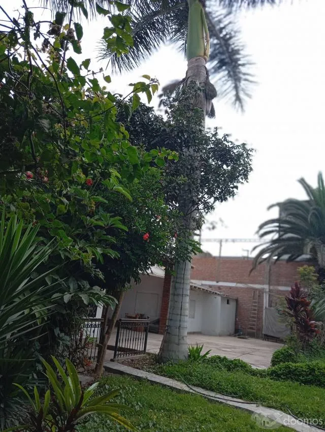 OCACIÓN. 2,025 Vendo casa con piscina en CHINCHA ALTA , - 6