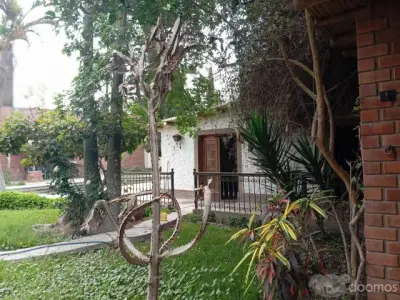 Miniatura 10