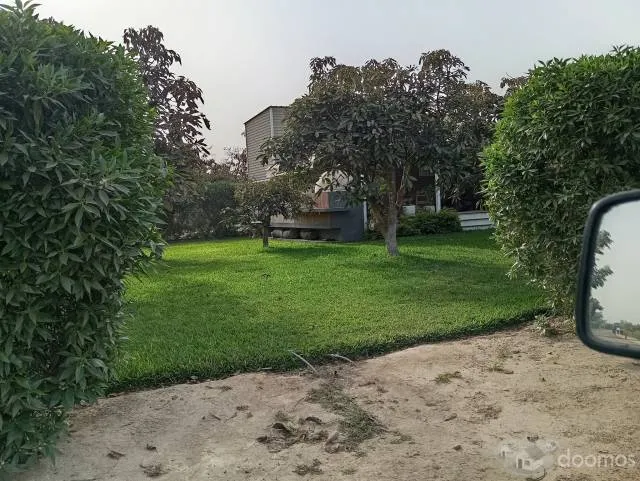 VENDO LOTE EN ESQUINA DE 483.44 m2.en  VILLA / FUNDO HASS — foto 5