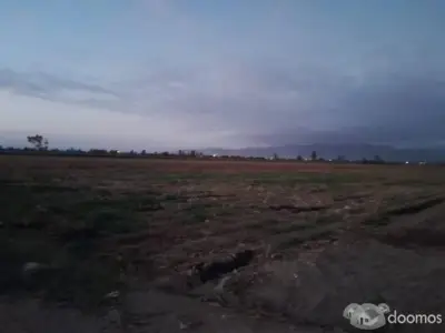 SE VENDE TERRENO DE 5.4 HECTAREAS - SECTOR MANRIQUE , PISCO