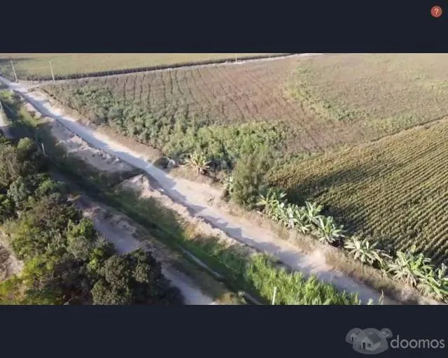Vendo parcela de 4.75 has. en buenaventura El Carmen - Chincha — foto 2
