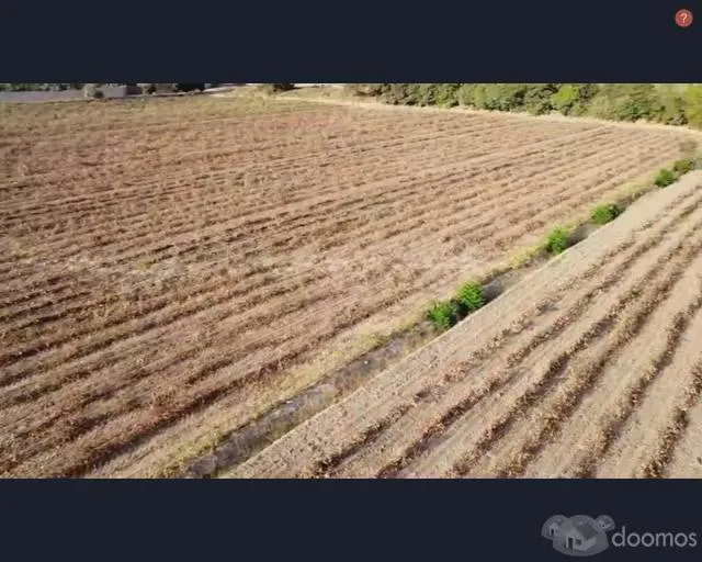 Vendo parcela de 4.75 has. en buenaventura El Carmen - Chincha — foto 3
