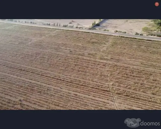 Vendo parcela de 4.75 has. en buenaventura El Carmen - Chincha — foto 5
