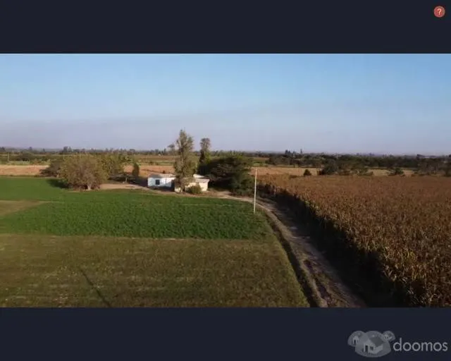 SE VENDE TERRENO AGRICOLA DE 14 HECTAREAS - SECTOR MONTALVAN (TINEO) , PISCO - 3