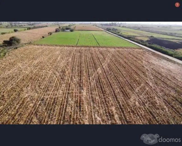 SE VENDE TERRENO AGRICOLA DE 14 HECTAREAS - SECTOR MONTALVAN (TINEO) , PISCO - 6