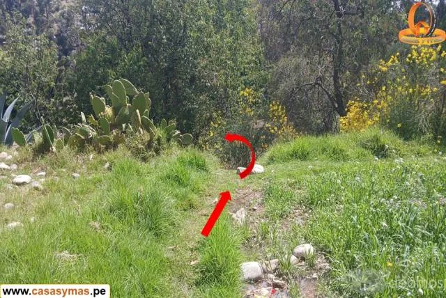 TERRENO EN VENTA EN PINCHA, CHUPACA - HUANCAYO — foto 8