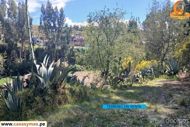TERRENO EN VENTA EN PINCHA, CHUPACA - HUANCAYO — foto 10