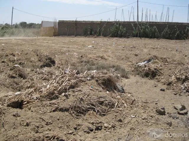 Vendo Terreno Campo Monsefu - Chiclayo - 1